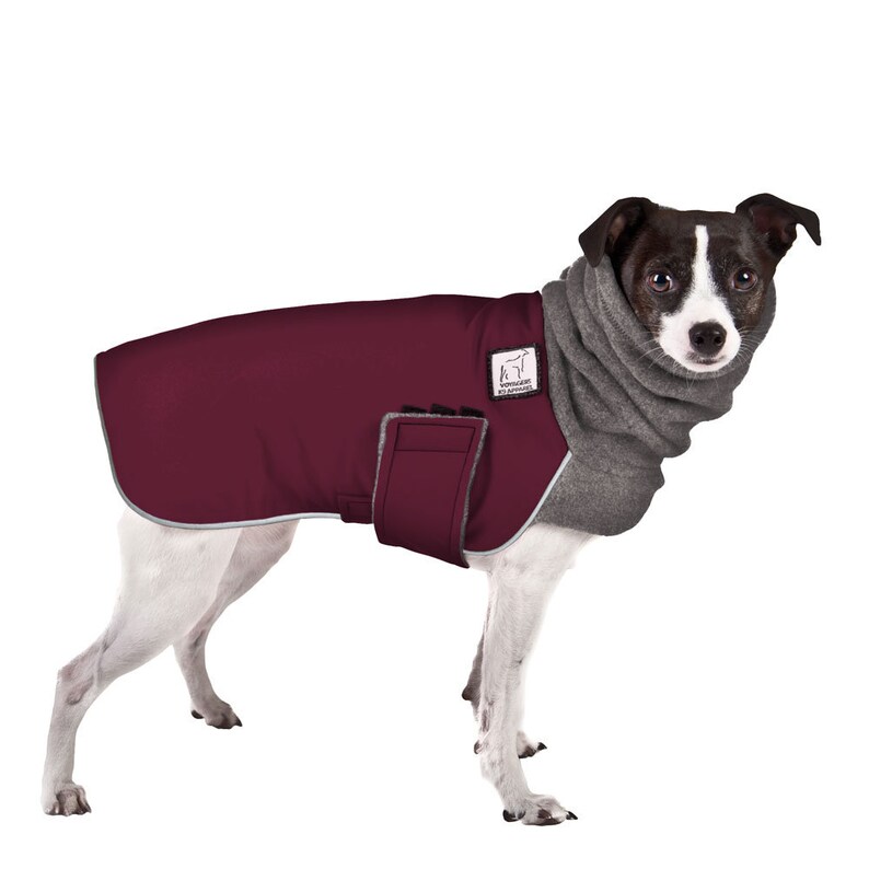 RAT TERRIER Winter Coat Waterproof Dog Coat Fleece Dog Etsy