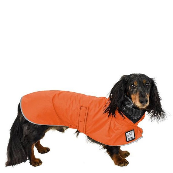 DACHSHUND Dog Rain Coat Raincoat Dog 