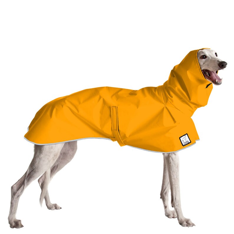 GREYHOUND Rain Coat Raincoat Waterproof Dog Coat Rain Etsy
