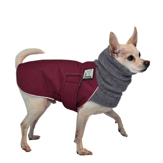 CHIHUAHUA Winter Dog Coat Winter Jacket 