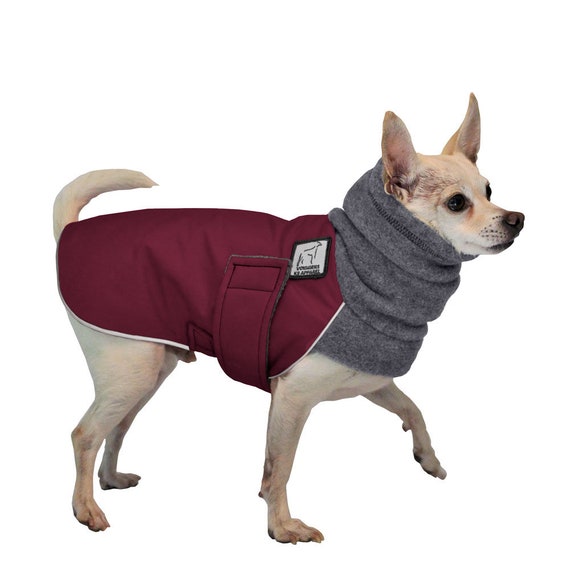 small dog jackets winter