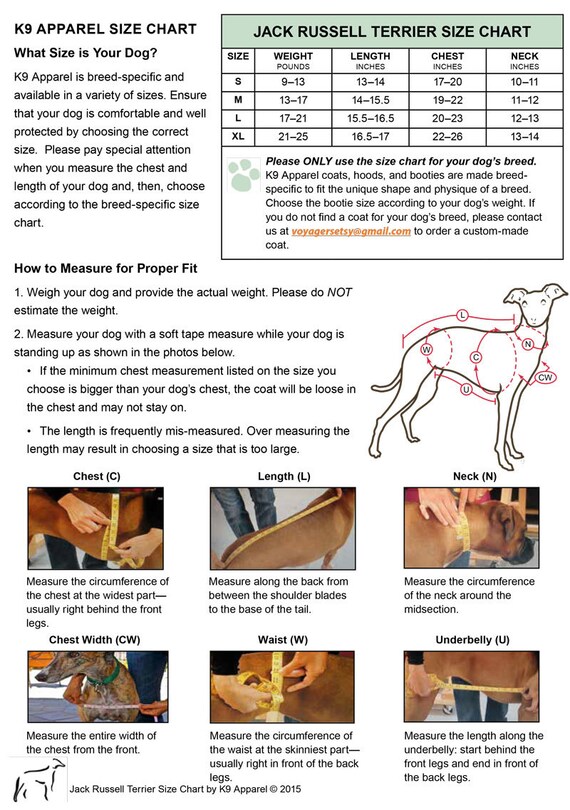 Jack Russell Weight Chart