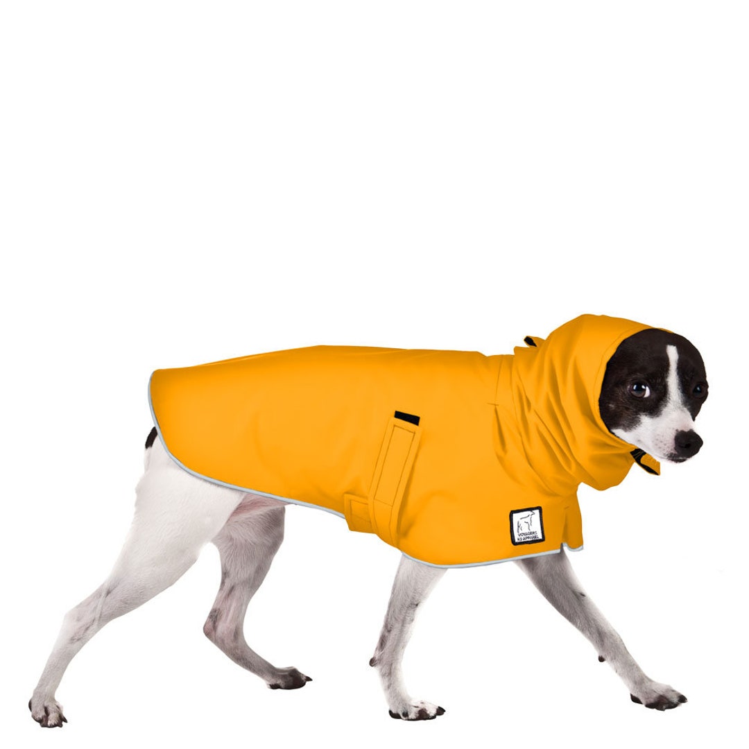 RAT TERRIER Dog Rain Coat Dog Coat Dog Raincoat Rain Etsy