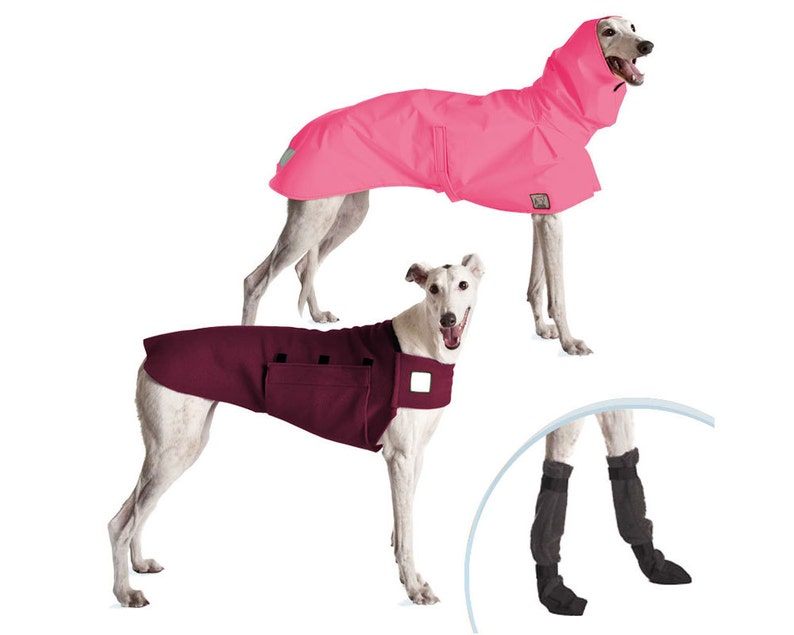 GREYHOUND Moderate Climate Combo Dog Rain Coat Waterproof Etsy