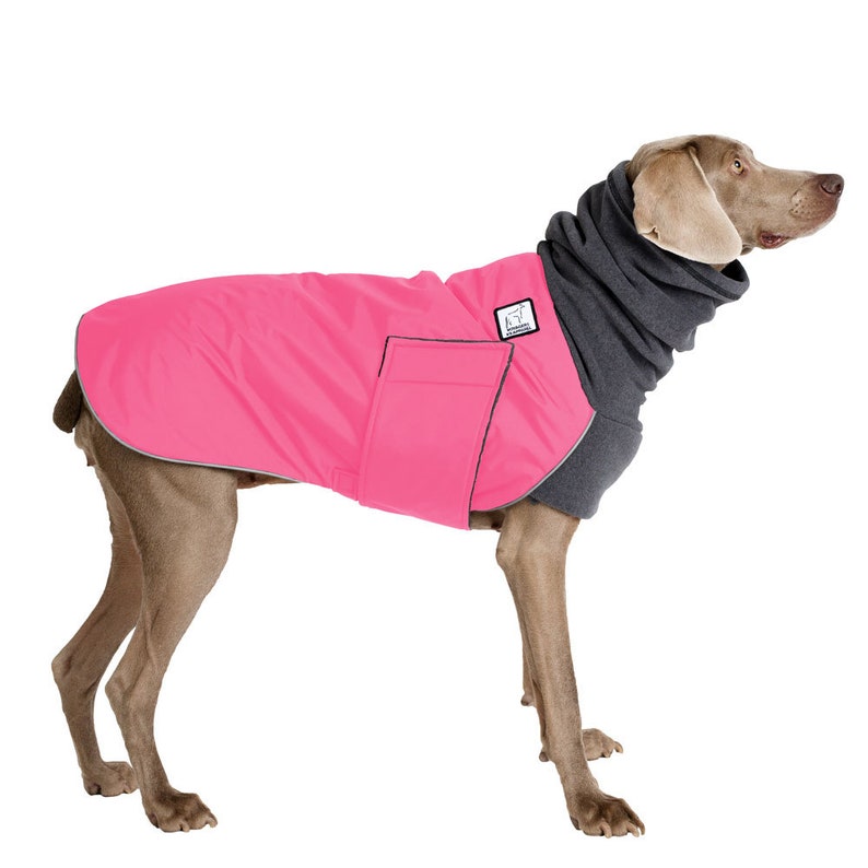 WEIMARANER Winter Dog Coat Winter Coat Winter Clothes - Etsy UK