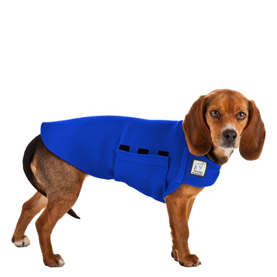 beagle sweater for dog