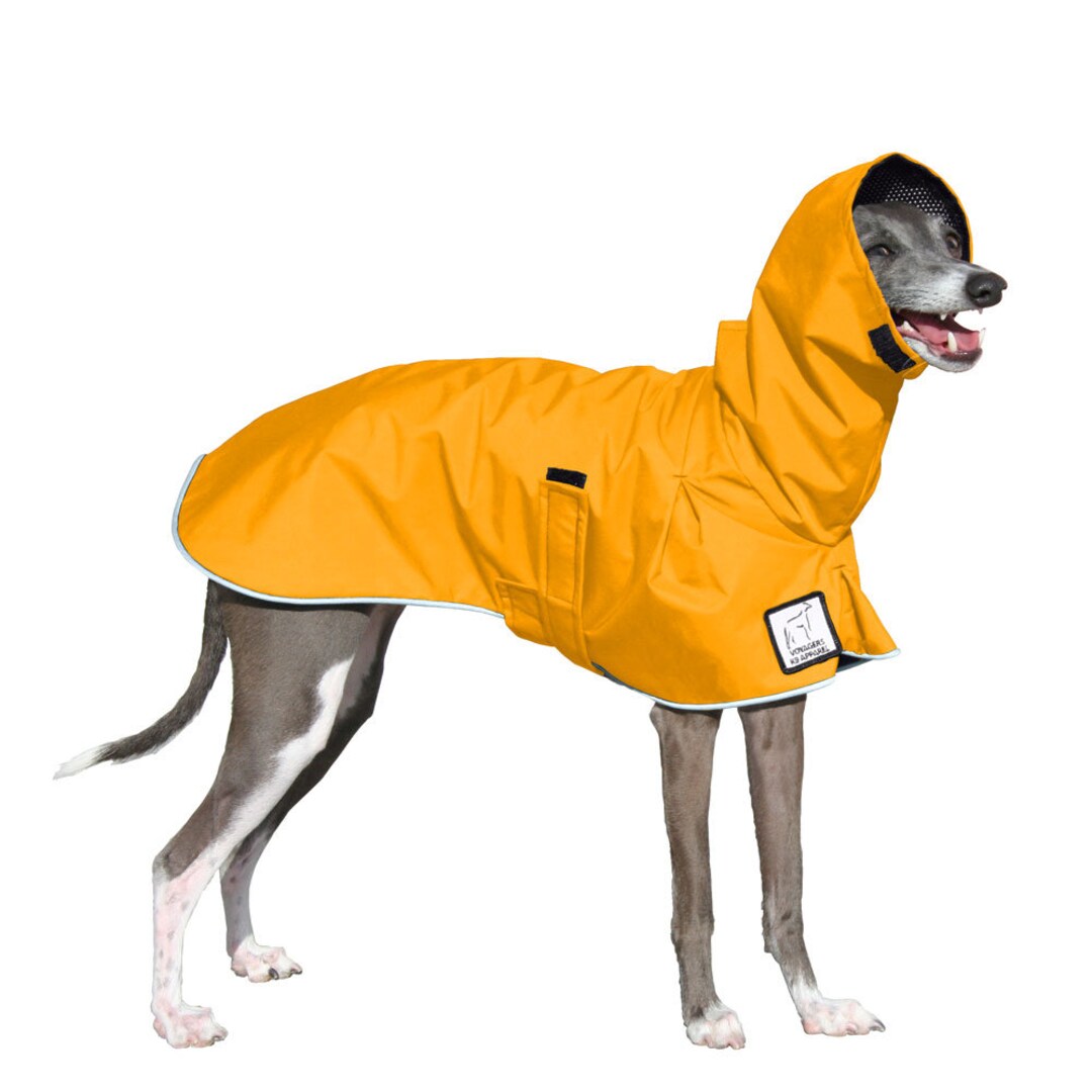 ITALIAN GREYHOUND Rain Coat Dog Coat Rain Slicker Dog Etsy