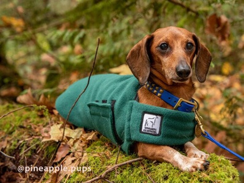 MINIATURE DACHSHUND Tummy Warmer Fleece Fleece Sweater for Etsy