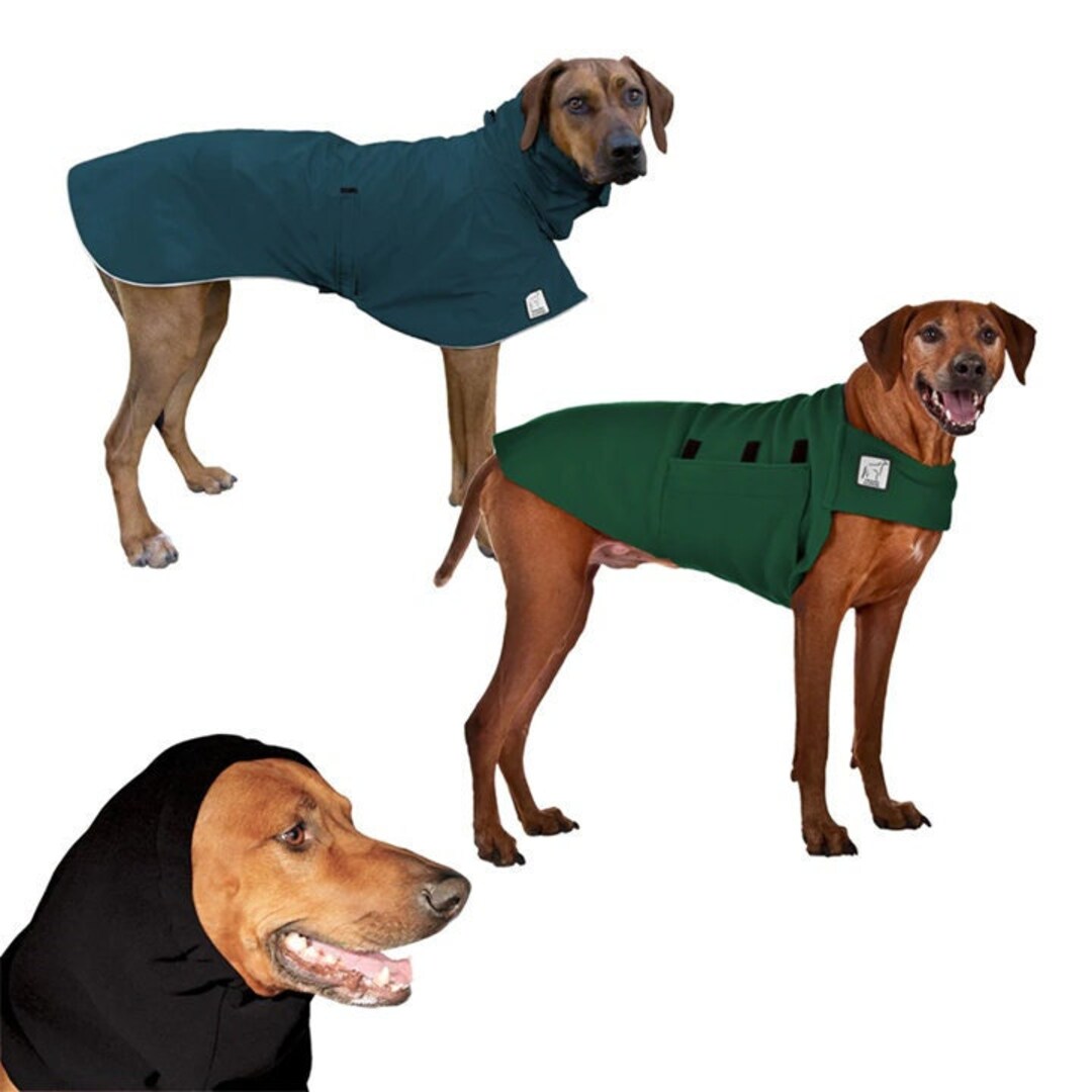 RHODESIAN RIDGEBACK Warm Climate Combo Dog Raincoat Dog - Etsy