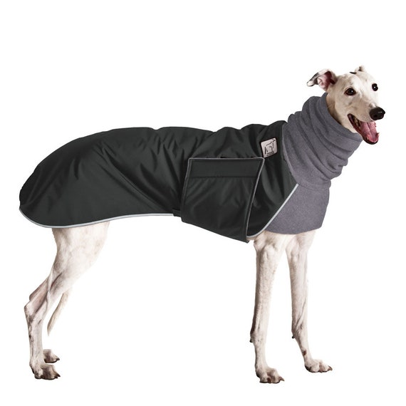 how to measure greyhound for coat