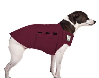 canine apparel