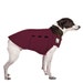 RAT TERRIER Tummy Warmer, Fleece, Dog Sweater, Fleece Dog Jacket, Shirt for Dogs, Dog Vest, Dog Clothing, Dog Apparel 