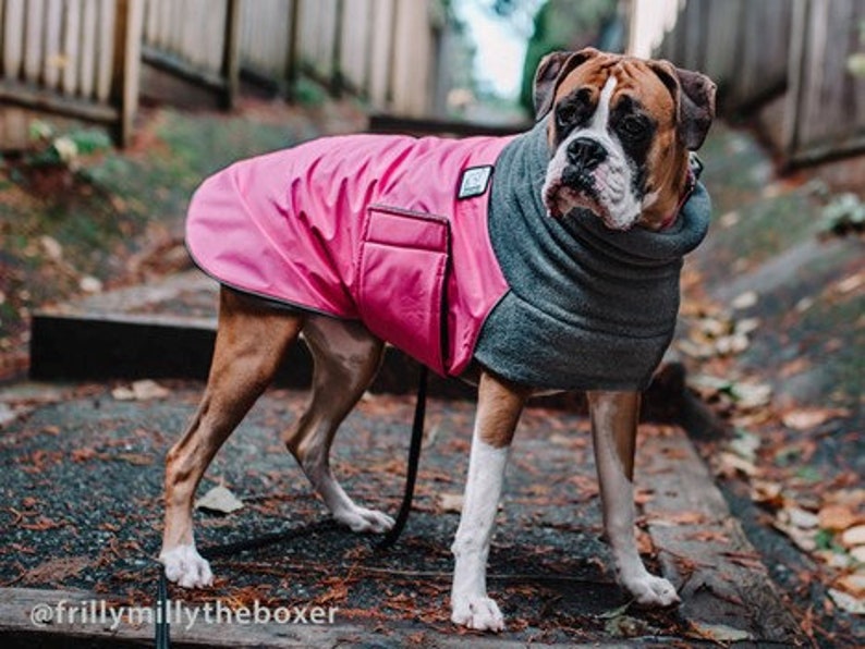 BOXER Winter Dog Coat Waterproof Jacket for Dogs Fleece Dog Etsy