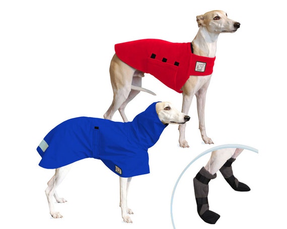 whippet booties
