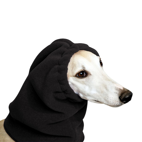whippet dog accessories