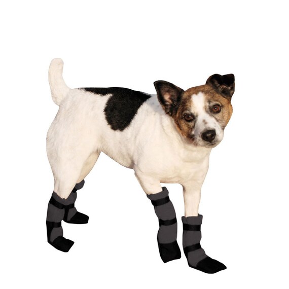 dog snow shoes