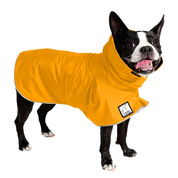 rain macs for dogs