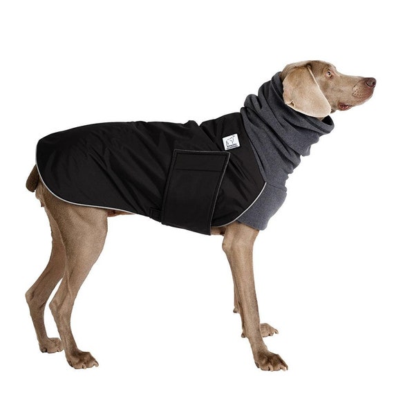 dog coat with hood