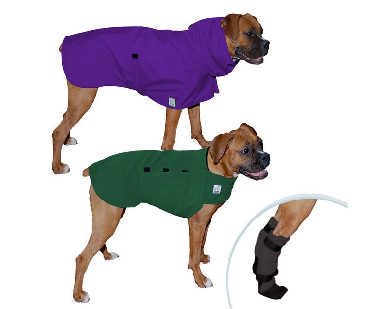 boxer dog boots