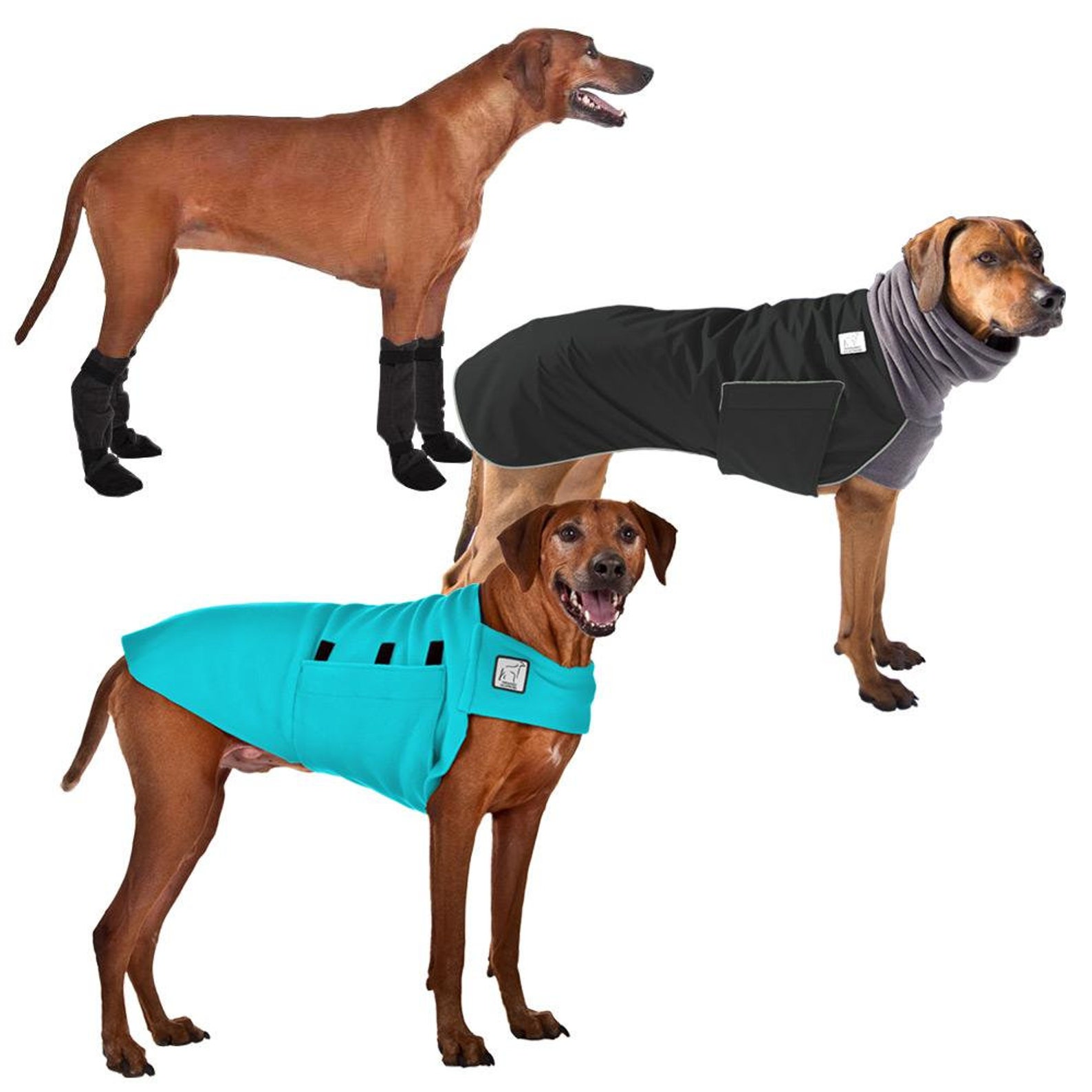 rhodesian ridgeback fleece coat