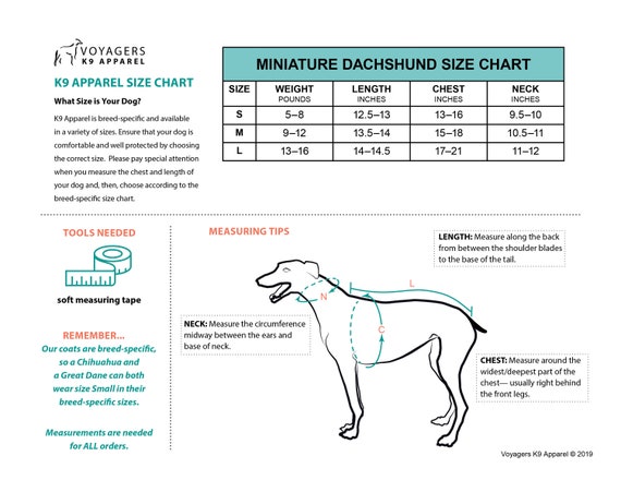 mini dachshund clothes size
