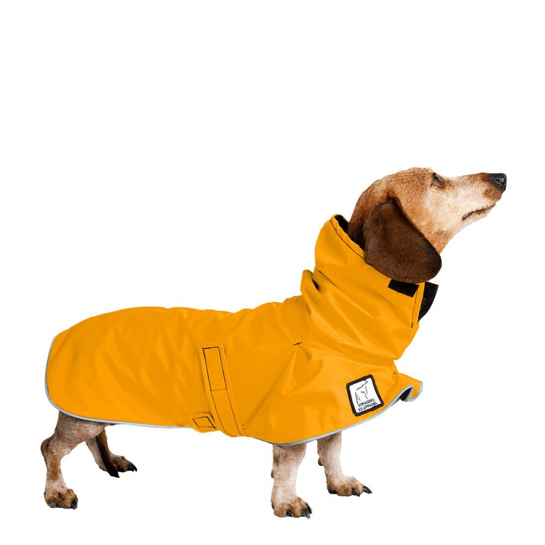 MINIATURE DACHSHUND Dog Rain Coat Raincoat Rain Slicker Etsy