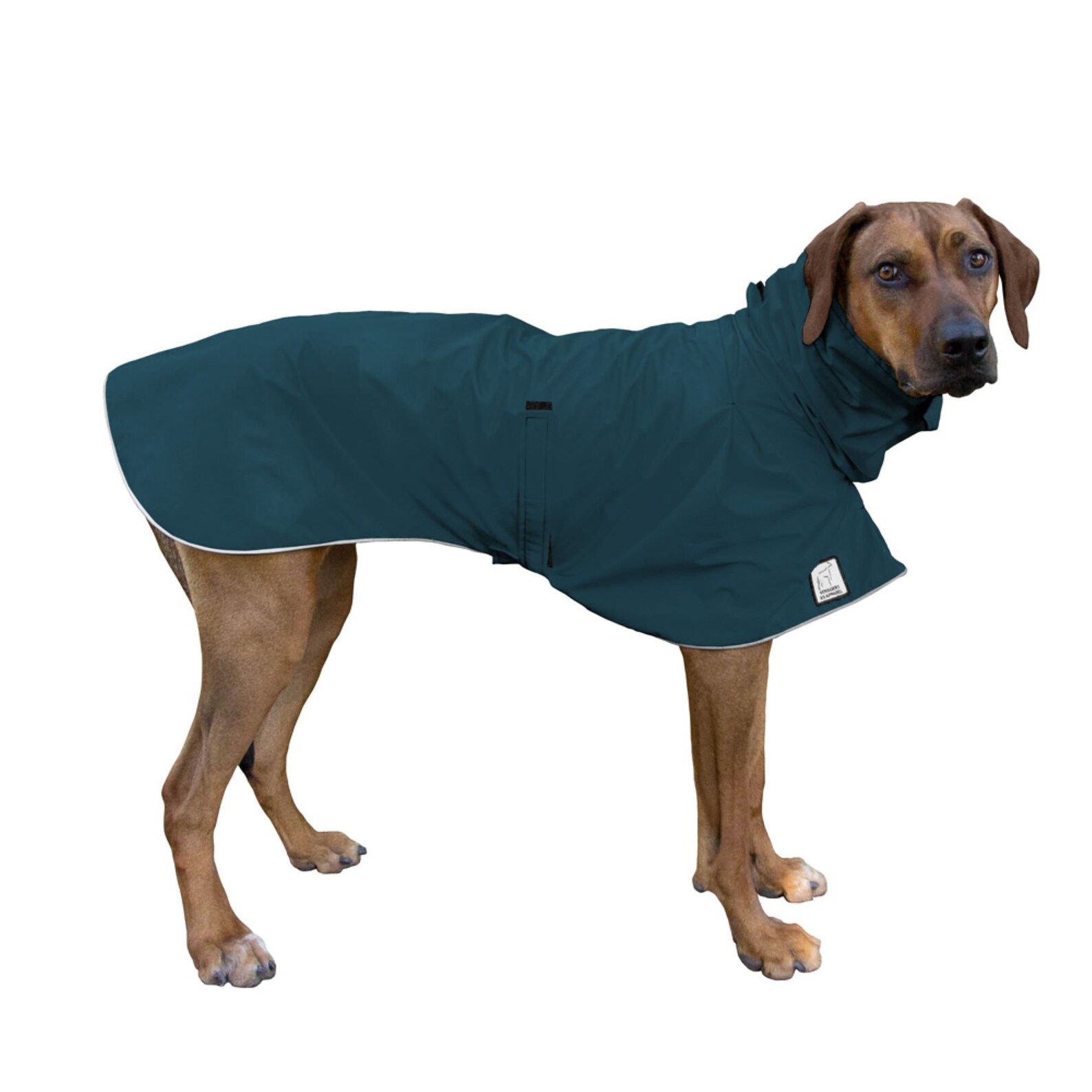 RHODESIAN RIDGEBACK Dog Rain Coat Waterproof Dog Coat Dog Etsy