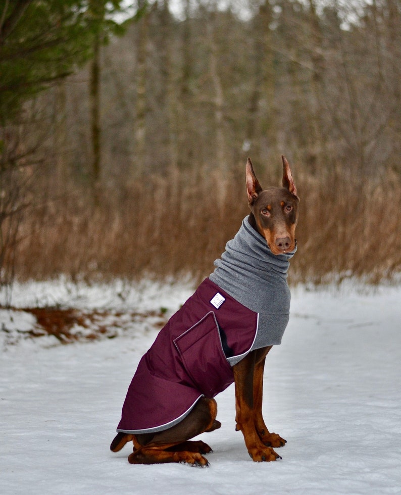 DOBERMAN PINSCHER Winter Dog Coat Winter Jacket Waterproof Etsy