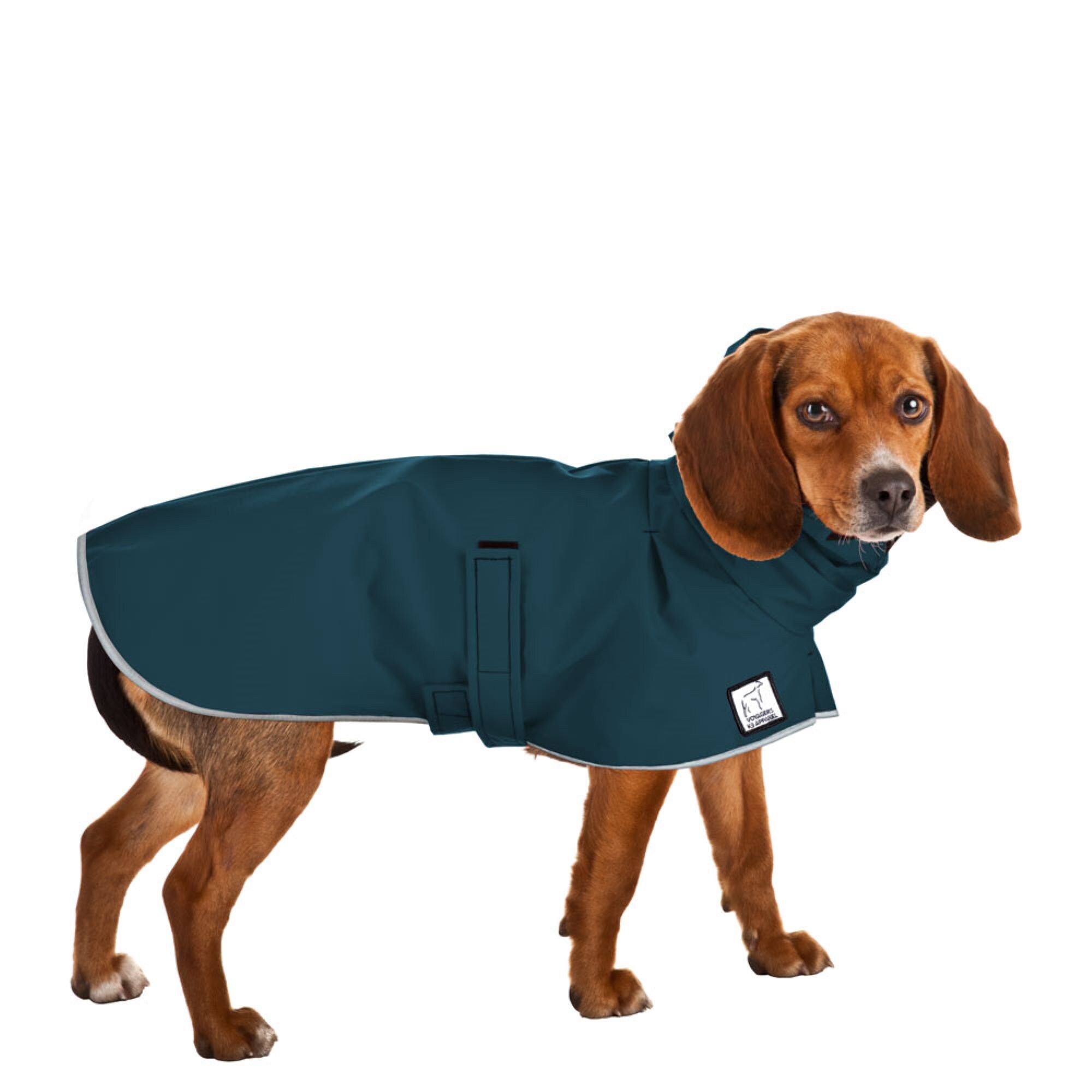 rain coat dog