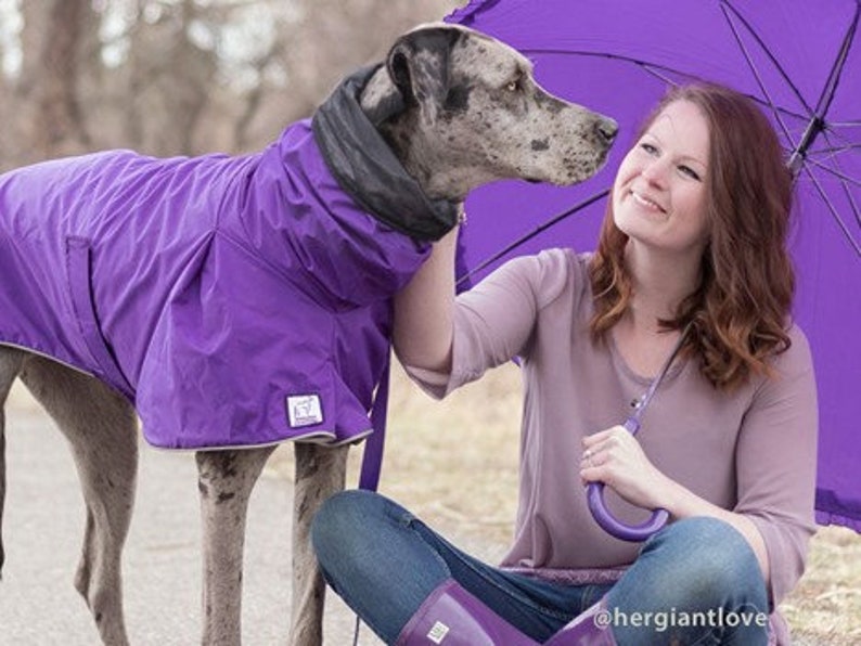 GREAT DANE Rain Coat Dog Raincoat Rain Slicker Dog Coat Etsy