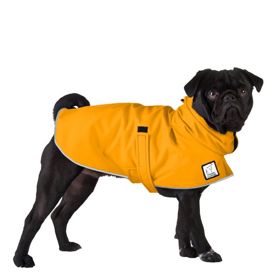dog coats for pugs