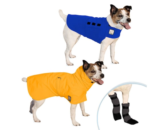 JACK RUSSELL TERRIER Moderate Climate Combo Dog Rain Coat | Etsy JACK RUSSELL Winter Dog Coat Waterproof Dog Jacket Winter | Etsy