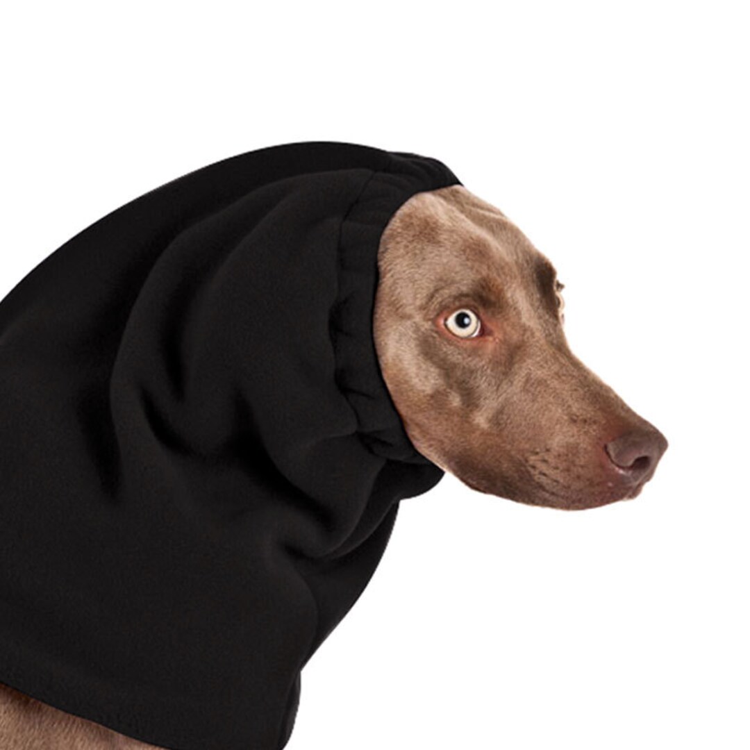 WEIMARANER Dog Hood Dog Snood Winter Dog Hat Winter Hat - Etsy Australia