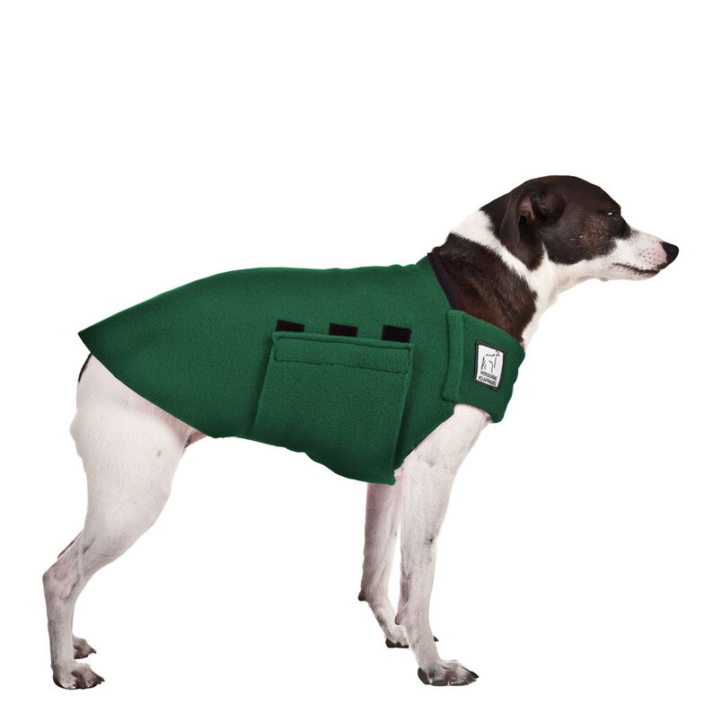 RAT TERRIER Tummy Warmer Fleece Dog Sweater Fleece Dog | Etsy