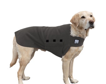 labrador in clothes