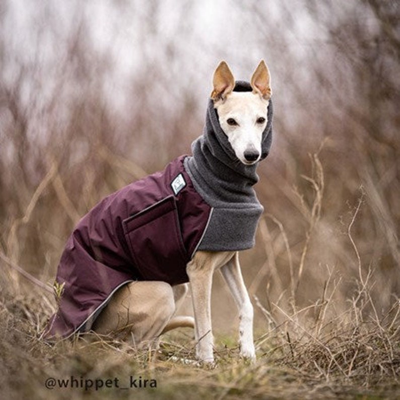 WHIPPET Winter Dog Coat Winter Coat for Dogs Waterproof Etsy