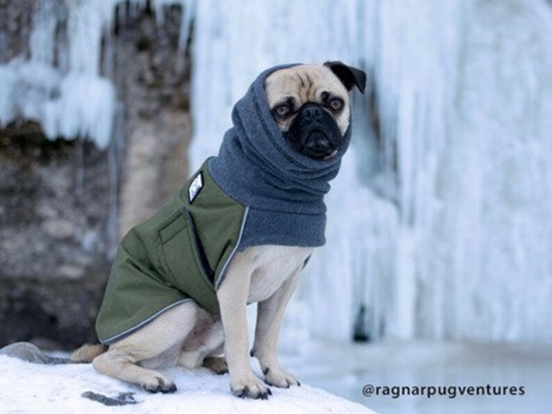 PUG Winter Dog Coat Winter Coat Dog Clothing Pug Clothes Etsy