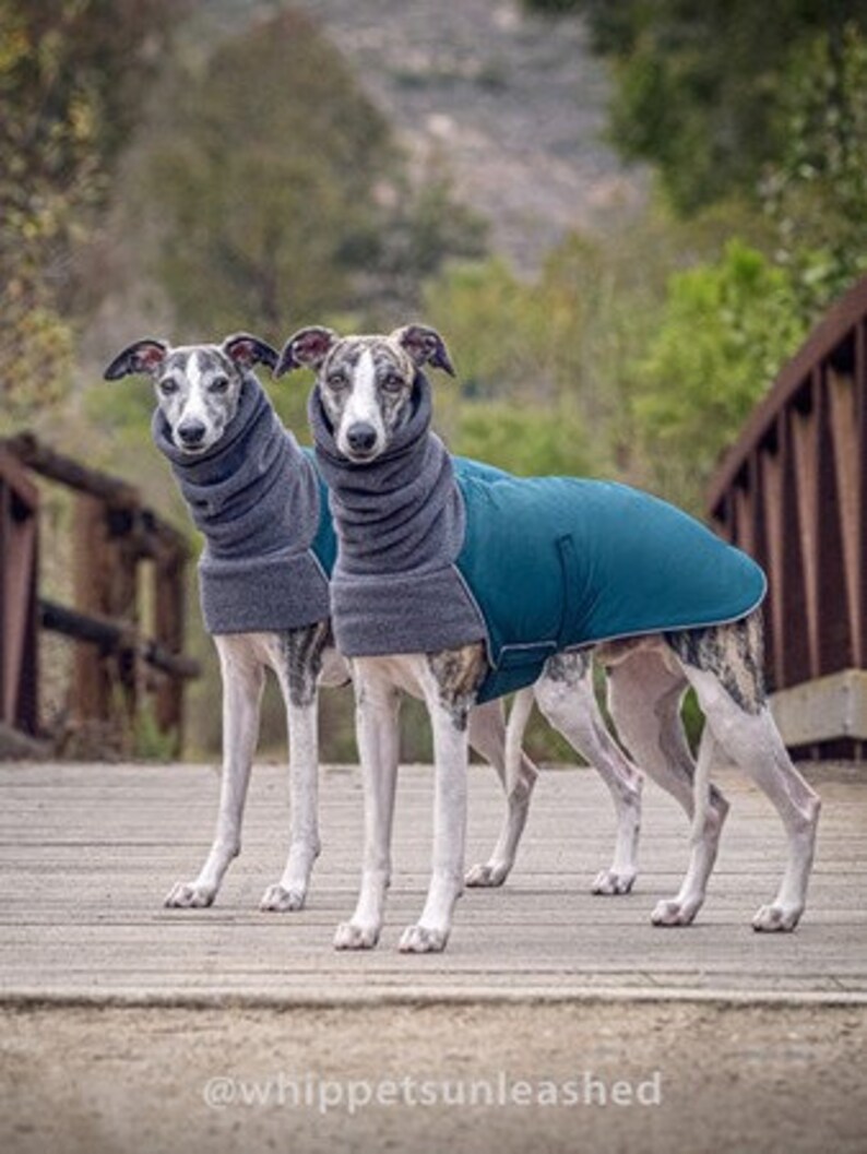 WHIPPET Winter Dog Coat Winter Coat for Dogs Waterproof Etsy