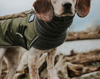 BEAGLE Winter Dog Coat Winter Coat 