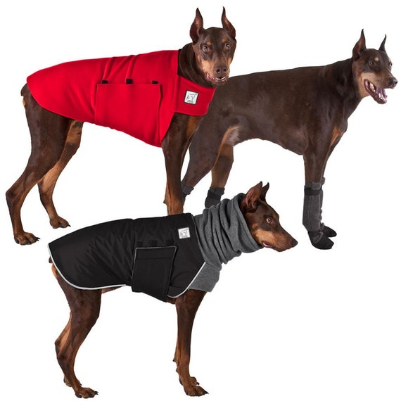 doberman pinscher sweater