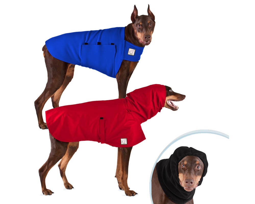 doberman raincoat