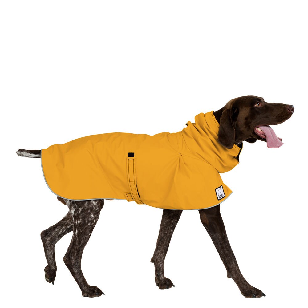 german shorthaired pointer winter coats