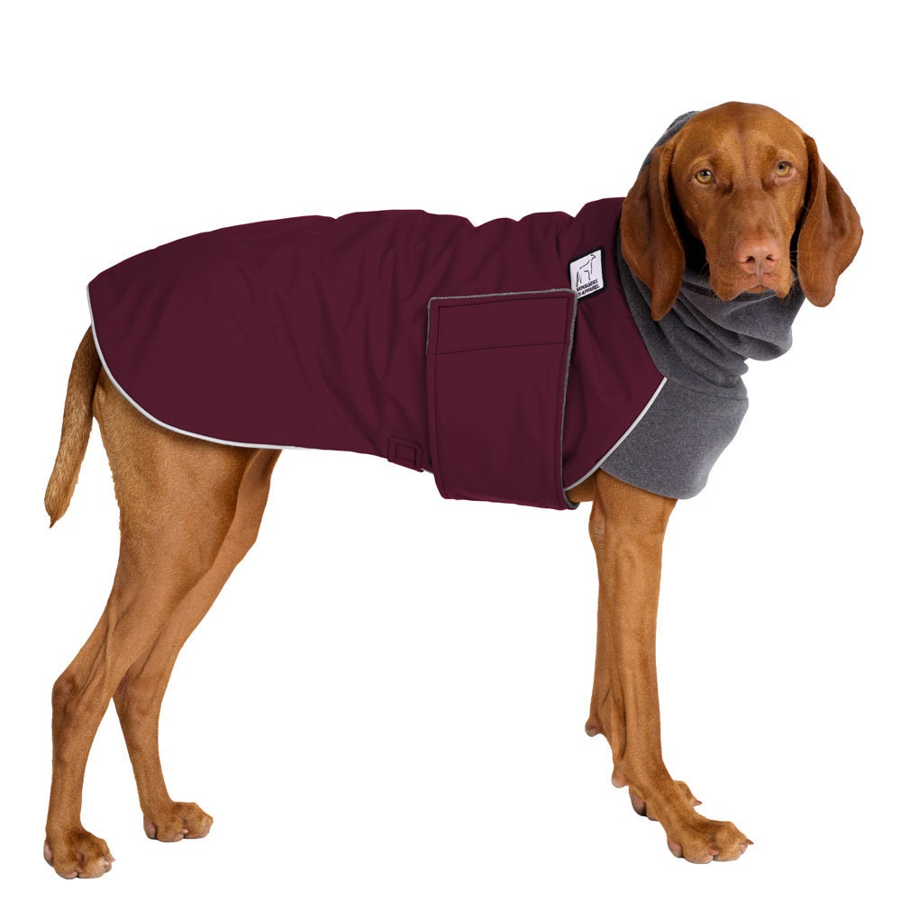 waterproof dog jacket