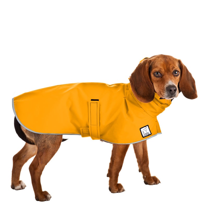 BEAGLE Rain Coat Dog Raincoat Rain Jacket Waterproof Dog Etsy Australia