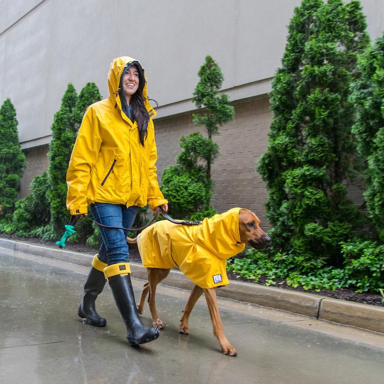 RHODESIAN RIDGEBACK Dog Rain Coat Waterproof Dog Coat Dog Etsy