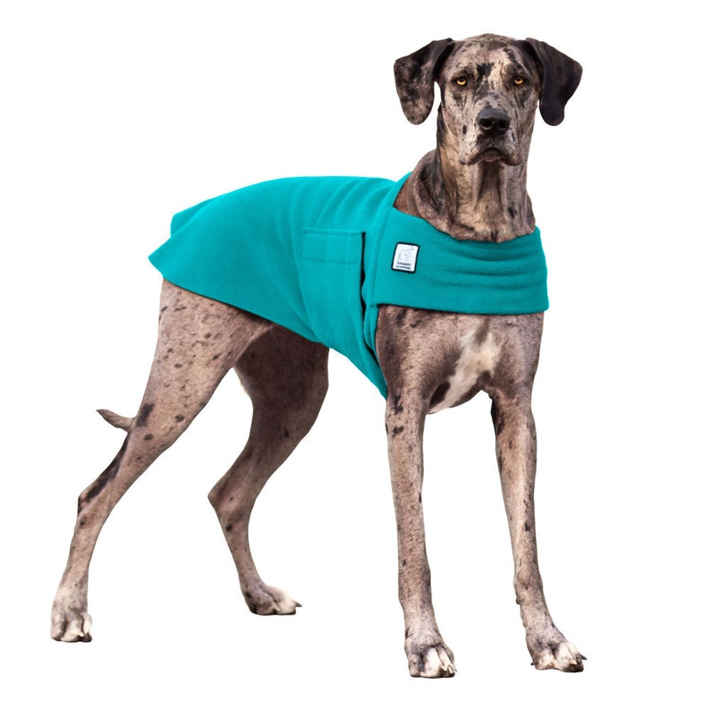 GREAT DANE Tummy Warmer Fleece Dog Coat Sweater for Dogs Etsy