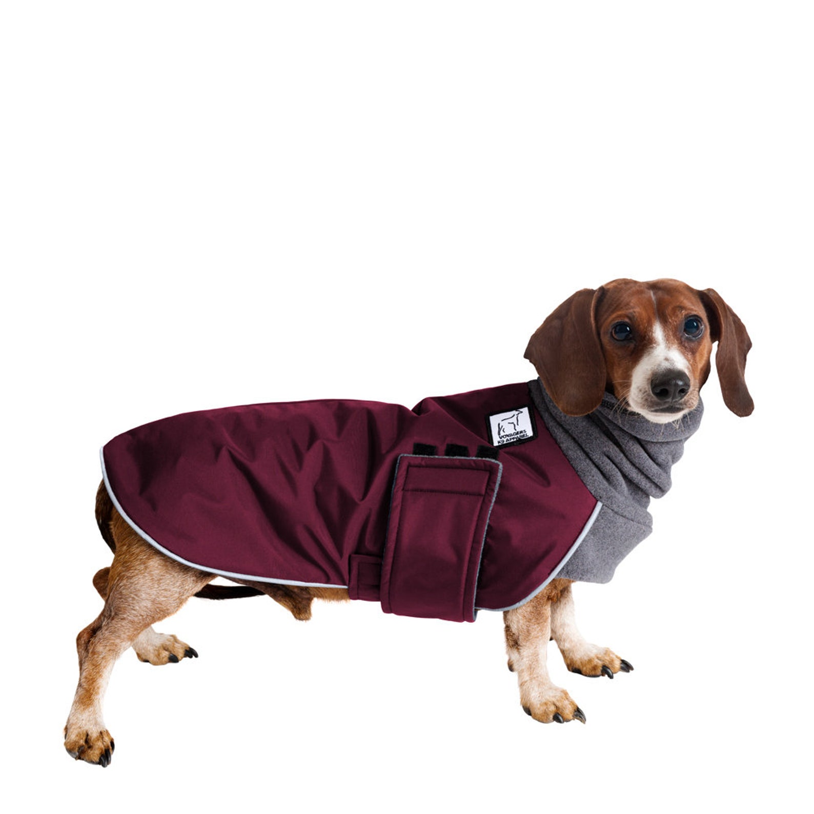 DACHSHUND Winter Dog Coat Winter Coat Waterproof Jacket Etsy