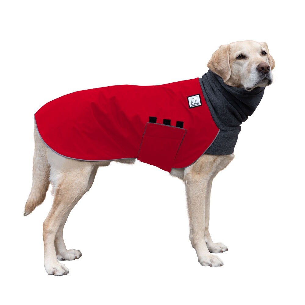 LABRADOR RETRIEVER Winter Dog Coat Coat for Dogs Dog - Etsy España