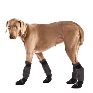 whippet boots