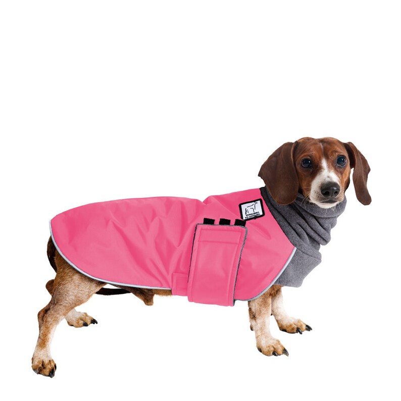 DACHSHUND Winter Dog Coat Winter Coat Waterproof Jacket Etsy